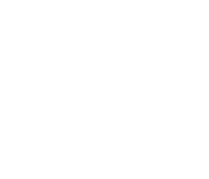 Working Class